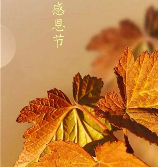 感恩遇见!